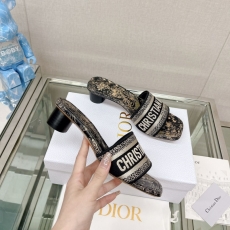 Christian Dior Slippers